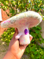 Nu shroom